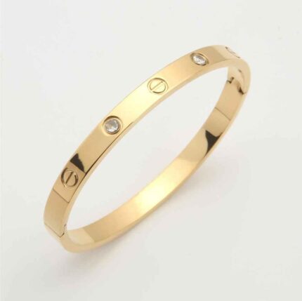 Zirkon-Tasli-Altin-Kaplama-Paslanmaz-Celik-Ajda-Kelepce