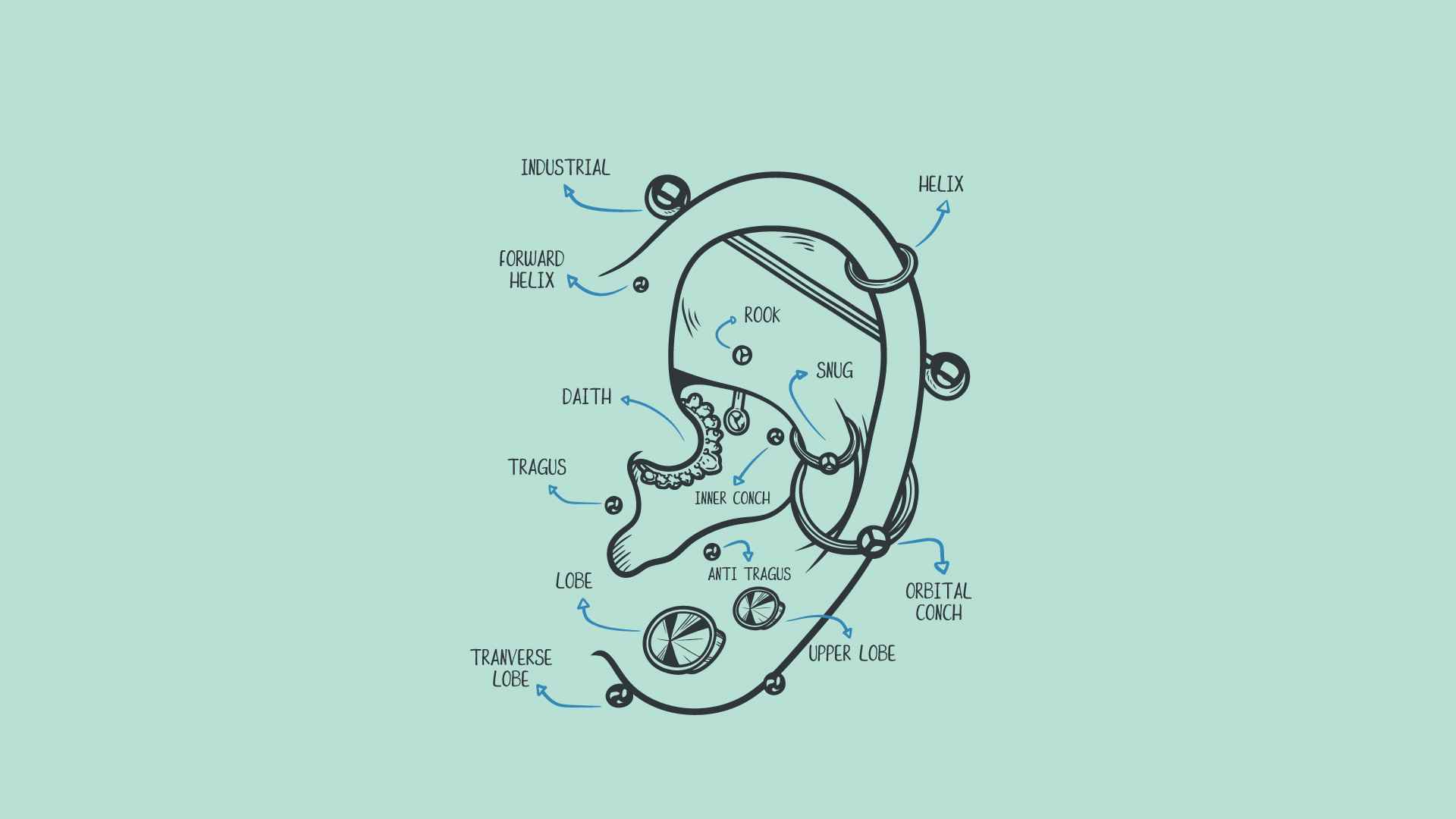 Kulaklar Nereden Delinir? Farklı Delim Stil ve Tasarımları Kulaklar Nereden Delinir? Farklı Delim Stil ve Tasarımları
