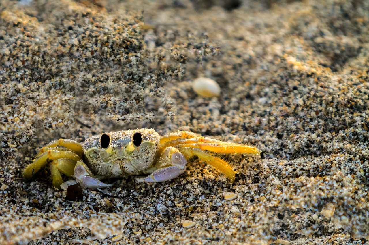 Ajda Bileziklerin Estetik Görünümü