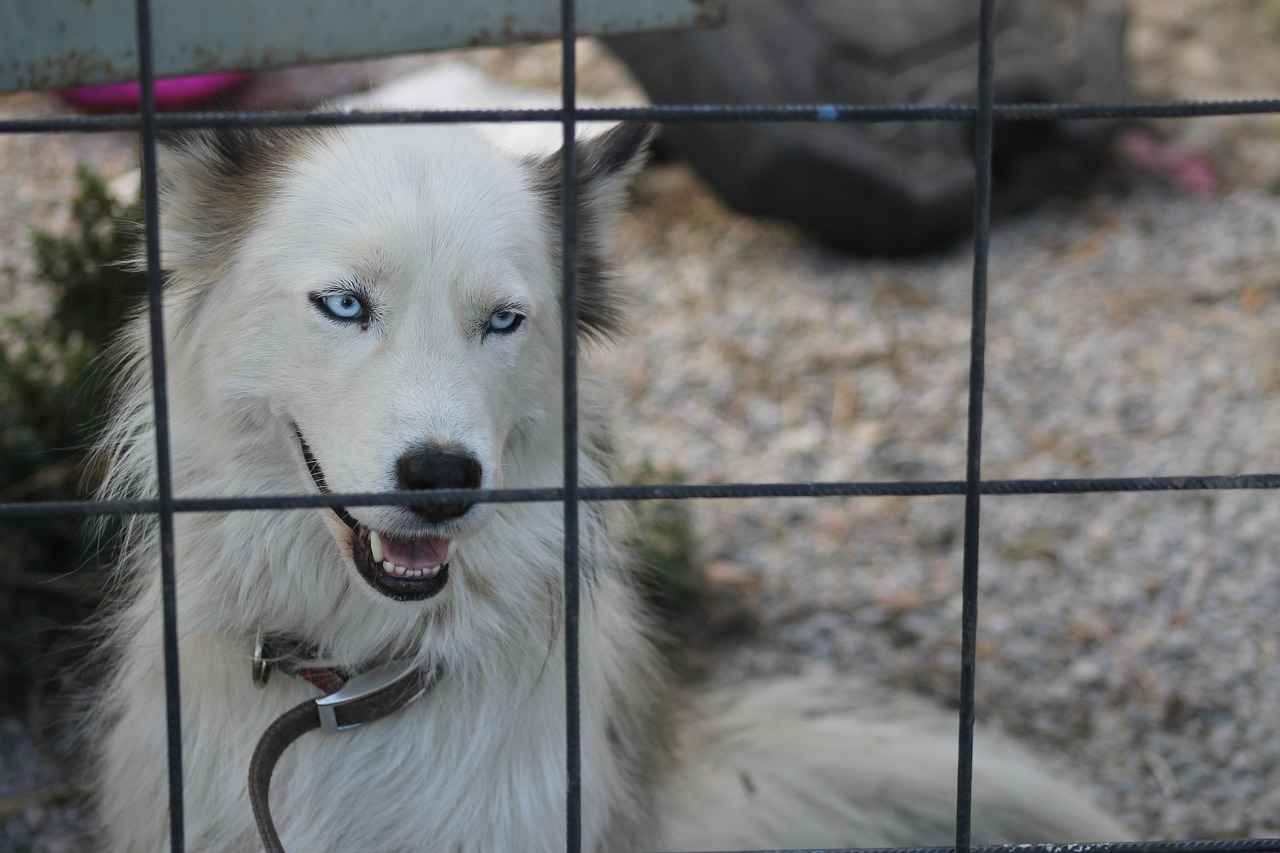 Ajda Bilezik Beyaz ile Kombin Önerileri