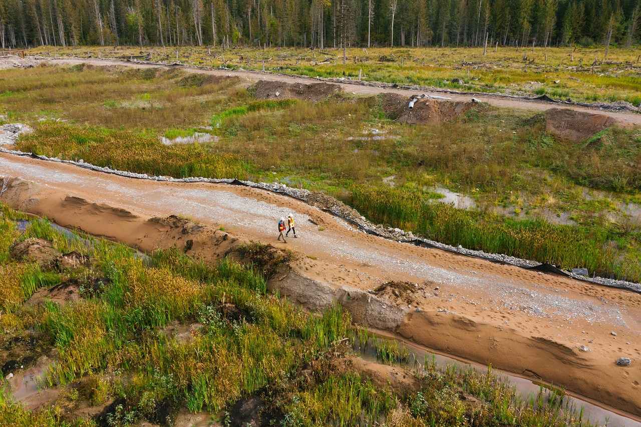 Ajda Bilezik Renklerini Nasıl Seçmelisiniz?
