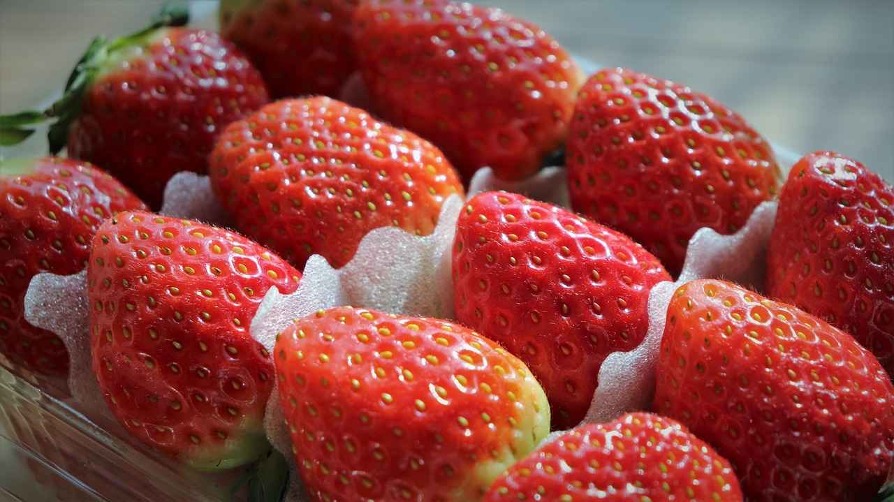 Ajda Kaburga Bileziklerinin Tarihçesi