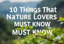 Doğa Sevgililerinin Mutlaka Bilmesi Gereken 10 Şey 10 Things That Nature Lovers Must Know