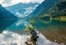 Gölseverlerin Rüyası: Sessiz Doğanın Harikası Dream of the Lakes: The Wonder of Silent Nature