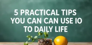 Günlük Hayatta Kullanabileceğiniz 5 Pratik İpucu 5 Practical Tips You Can Use in Daily Life