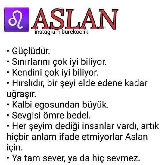 Aslan Burcu Özellikleri Nedir? Güçlü ve Zayıf Yanları