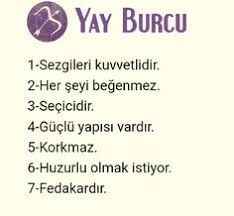 Yay Burcu Özellikleri Nelerdir? Bu Burcun Olumlu ve Olumsuz Yanları Nelerdir?