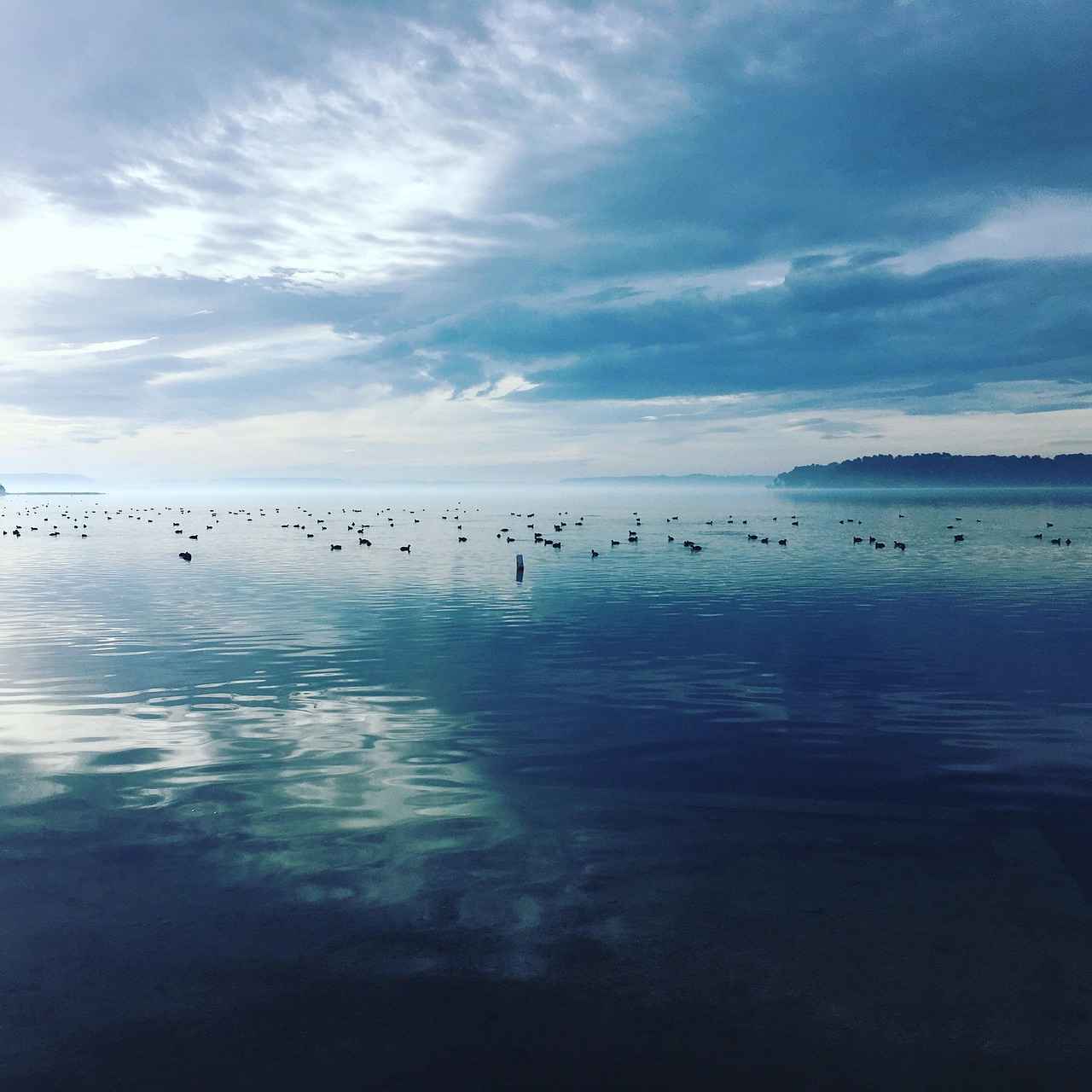 Bakım ve Değer Koruma
