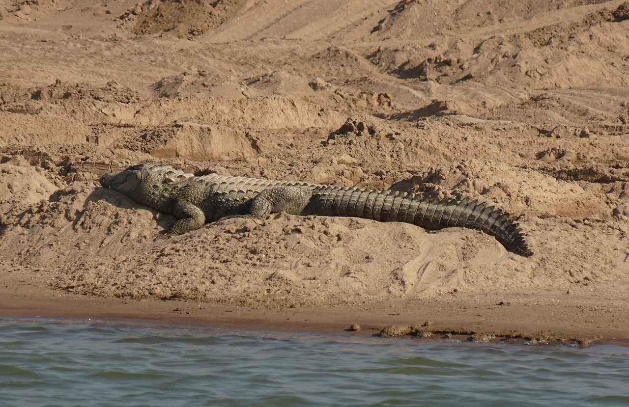 Fiyat Aralıkları ve Bütçe Planlaması