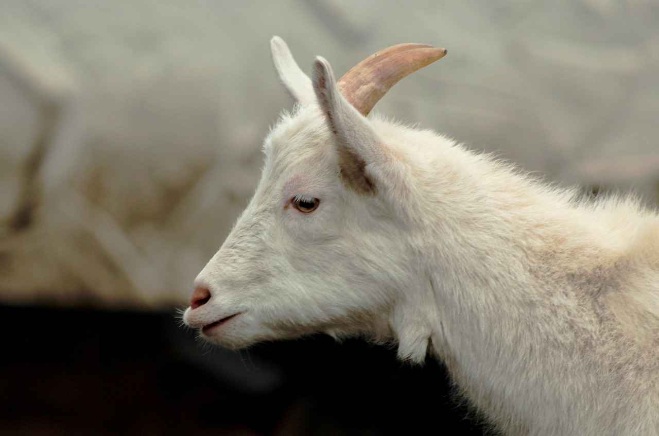 Ajda Bilezik ile Tarzınızı Nasıl Oluşturursunuz?