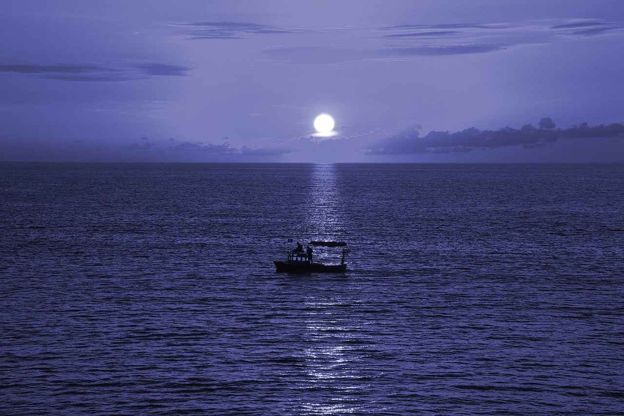 Ajda Bilezik Zincirinin Farklı Modelleri