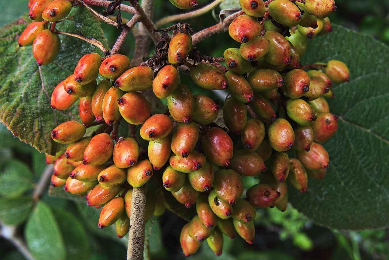 Kalın Ajda Bilezik Alırken Dikkat Edilmesi Gerekenler